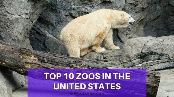 top 10 zoos in the united states of america